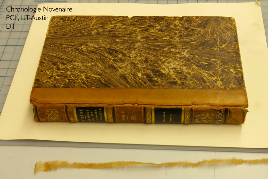 Consolidated leather and toned overlay strip