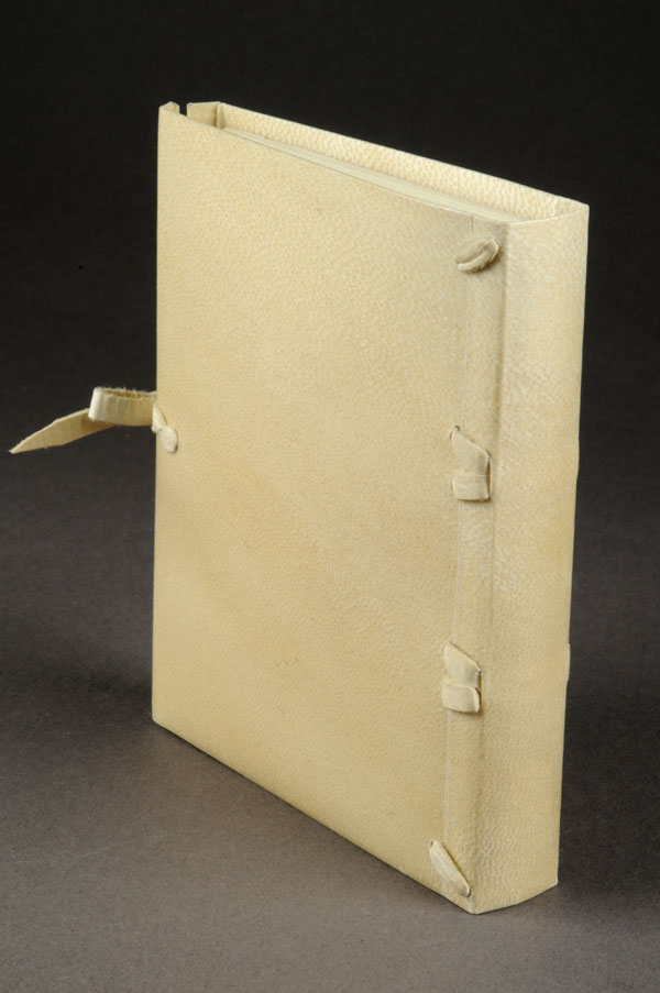 Back cover and spine