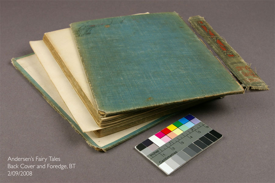 Publisher's Binding Image 2