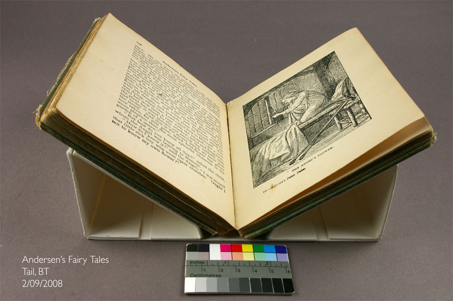 Publisher's Binding Image 5