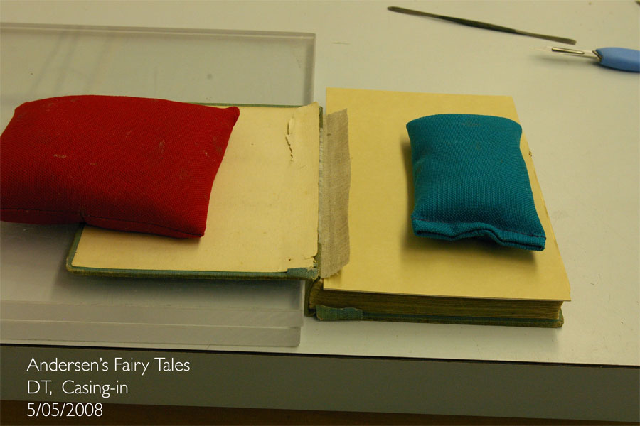 Publisher's Binding Image 5
