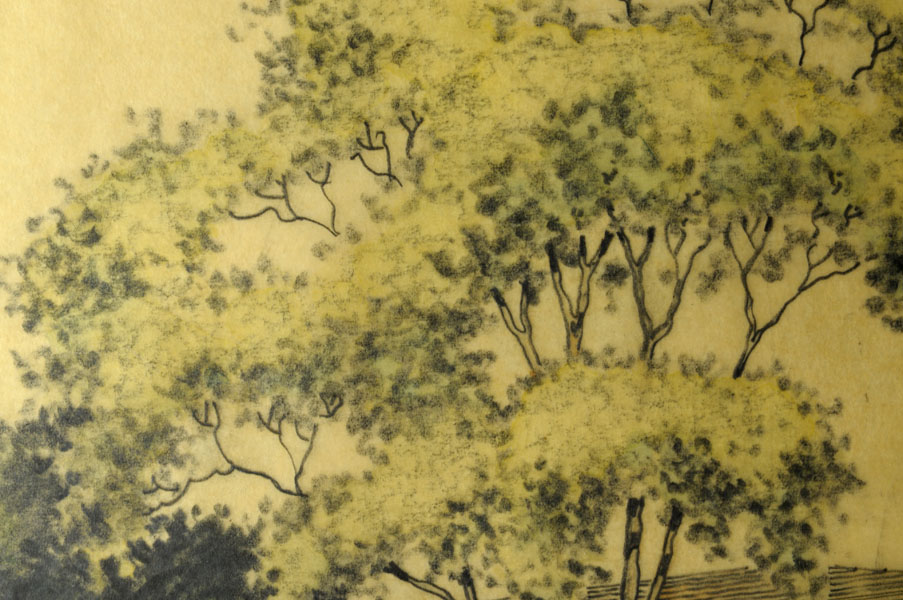 Detail, graphite and watercolor